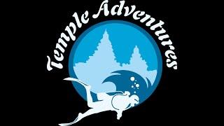 Why you should dive with us ? | Temple Adventures