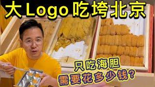 挑战一顿饭只吃海胆！大Logo带你尝一尝！