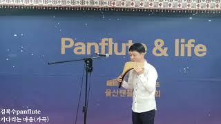 기다리는 마음(김복수panflute)