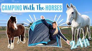 24 HOURS With My Horse Challenge | CAMPING | LilPetChannel