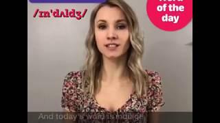 to indulge [meaning/examples]