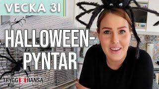 VI TAR HALLOWEEN PÅ ALLVAR! - Evelina Gustin vecka 31