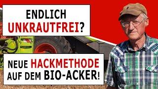 Unkrautfreie Bio-Ernte? Dank Früh-Hacke zu ertragreicher Braunhirse-Ernte!