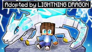 Adopted by the LIGHTNING DRAGON in Minecraft!