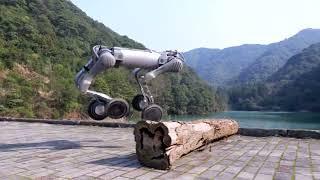 Unitree B2-W Talent Awakening – A New Level For Industrial Robots!