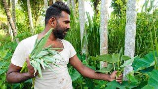 Taro Leaves recipe in village style | Village cooking recipe - Ala kola ambula