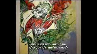 One person Show at The Museum of Modern Art Moscow (Hebrew)