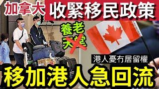 移加港人崩了！加拿大收緊「移民政策」港媽憂「冇居留權」病兒冇藥食！需回流香港！加拿大「養老勝地」已經破滅？本地人為何「急急離開？」#移民 #移英