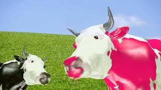 Cow Dance (Dhinka Chika)