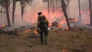 Wildland Fire Research - FASMEE