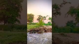 #nature #naturephotography #natureviews