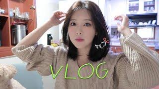 VLOG | 일상 브이로그 | 긴머리 작별! 중단발 레이어드컷 | 런닝 2주차‍️ | 신전떡볶이엔 BBQ핫윙이지