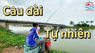 Câu đài tự nhiên. Chia sẻ bài mồi tổng hợp câu được nhiều loại cá | Phú Hải Fishing