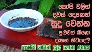 කෝපි වලින් දවස් 2න් සුදු වෙන්න පුළුවන් කියලා දැනන් හිටියද? | Coffee scrub and face pack Sinhala