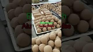 Bettertech alumina pebbles