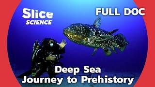 Coelacanth: The Living Fossil of the Abyss | SLICE SCIENCE | FULL DOCUMENTARY