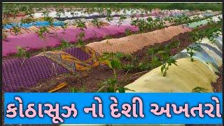 કોઠાસૂઝ નો અખતરો...!