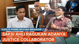 Saksi Ahli Ragu Ada Justice Collaborator dalam Kasus Pembunuhan Brigadir J