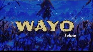 Wayo by Tekno | Tekno - Wayo (Official Lyrics Video)