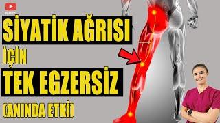 SİYATİK AĞRISI İÇİN TEK EGZERSİZ #aktifizyo #siyatikağrısı #kulunçağrısı