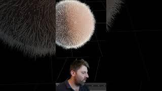 How to make Fur in Blender 4.1  - #Blender Quicktip 013