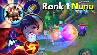 Rank 1 Nunu (JGL) | Chinese Server | 6 Games | MVP | S15 | Lofi | Wild Rift