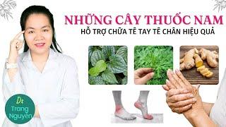 Những cây thuốc nam hỗ trợ chữa bệnh tê tay chân an toàn, hiệu quả