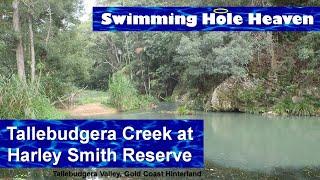 A chalky water swim in the Tallebudgera Valley in the Gold Coast hinterland