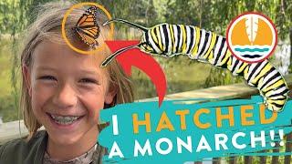 The Lifecycle of a Monarch Butterfly | Outdoor Adventure for Kids