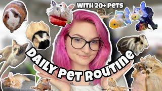 DAILY PET ROUTINE W/ 20 PETS!