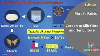 Fibre to Fabric Class 7 Science - Cocoon to Silk Fibre and Sericulture