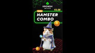 Daily Combo in Hamster Kombats 19.06 #hamsterkombat #хамстеркомбат #dailycombo #crypto #hamster