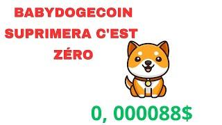 Ta Dernier Chance pour Réussir dans Cette année 2024 Avec cette Crypto Monnaie Babydogecoin