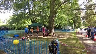 Tree Climbing Coventry