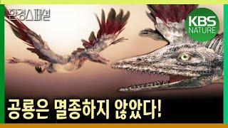 공룡은 멸종하지 않았다 [사이언스21 - 지구대멸종 3부작 : 2부 공룡, 새로 살아남다] /  KBS 20040128 방송