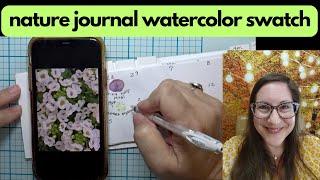 Sweet Alyssum NATURE JOURNAL with me⭐️backyard flower nature journaling⭐️nature journal challenge