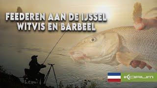 FEEDEREN AAN DE IJSSEL - WITVIS EN BARBEEL #korum #barbeel