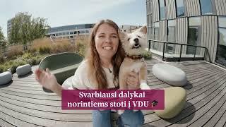 VDU stojamųjų informacija 2025