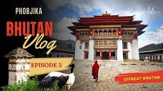 EP 5 : Phobjika Valley Day Trip | Gangtey Monastery | Black Necked Crane Centre | Farmhouse Lunch