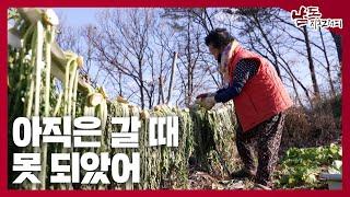 증손주가 벌써 초등학교 2학년이야 [남도지오그래피｜241224]