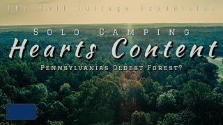 Pennsylvanias Ancient Forests. Solo Camping & Hiking: Fall Foliage Expedition.