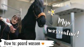 HOW TO: paard wassen | MIJN WASROUTINE | #36 | Epplejeck