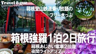 箱根旅行1泊2日ー箱根登山鉄道にフリーきっぷで乗り放題のモデルコースにどうぞ　あじさい電車＆ライトアップも２往復も収録