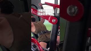 4년차 일반인 가슴운동 루틴