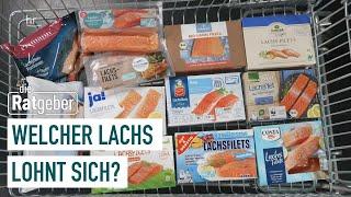 Fisch im Test – Lecker Lachs oder lieber nicht? | Die Ratgeber