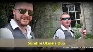 Leinster Wedding Suppliers - Surefire Ukulele Duo (wedding music)