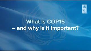 Explained: What is COP15 – and why is it important?