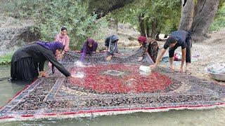 family outing; Family fun in beautiful nature and washing carpets and blankets