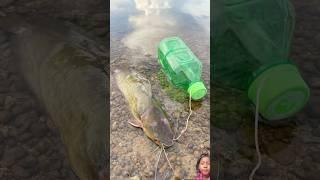 Survival Skills: SIMPLE and USEFUL with bottle fish trap #bushcraft #camping #outdoor