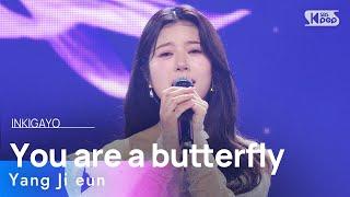 Yang Ji eun (양지은) -  You are a butterfly (나비당신) @인기가요 inkigayo 20241215